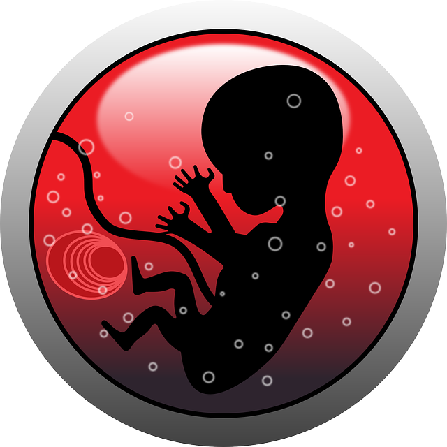 Week 10 Pregnancy