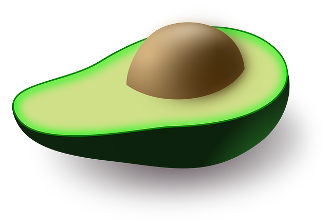 Week 16 Pregnancy- Baby Size of An Avocado