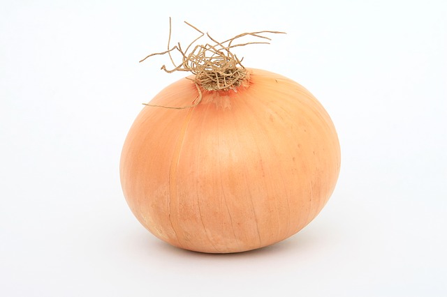 Week 17 Pregnancy- Baby Size of An Onion