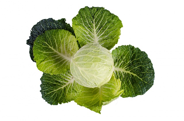 Week 26 Pregnancy- Baby Size of A Cabbage