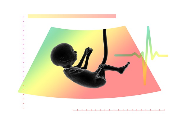Week 9 Pregnancy