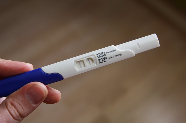 Weeks 1-3 Pregnancy